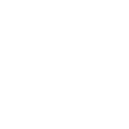 painter
